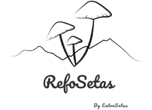 Logo RefoSetas