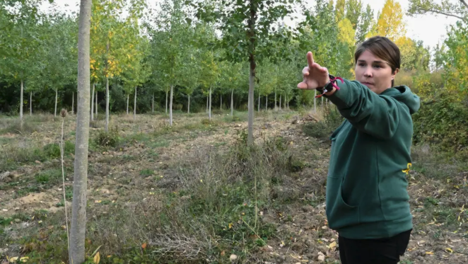 Nazaret en bosque